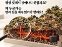 가난, 희년의 실천과 제도화로
