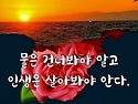 화요일 출석