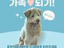 로하/여아/4살