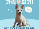 일구/남아/7개월