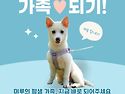머루/남아/4개월