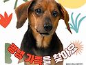 단지/여아/6~7세추정
