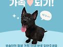 보솜/여아/5개월