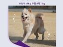 빅콩/남아/4살