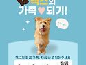 첵스/남아/2살