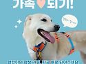 앨런/여아/1살