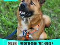 단추/남아/3살