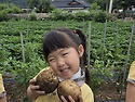 &#129364;감자캐기 체..