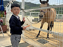&#128014;승마체험을..