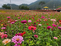 &#127802;&#127826; 지혜로운 사람