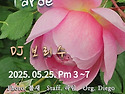 &#127804;05.25(일), 오후밀롱가 Tarde, DJ 보리수&#127804;