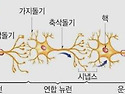 이토록 뜻밖의 뇌과학