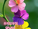 사