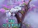 사