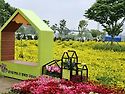 구리 유채꽃밭에서~