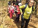 원미산 진달래축제