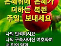 &#128262;햇살 가득한 ..