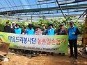 송산 포도겹순따기봉사후기