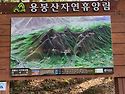 2024년 4월 7일 일요일 반야로 정기산행
