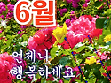 6월 언제나 행복하세요
