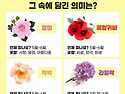 5월에 피는 꽃