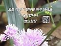 선재는 점점 남쪽으로 가다가