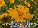진실도 아니고 허망도 아니면서