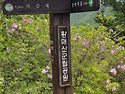진양기맥 5구간 밀치 소황..
