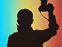 The Shadow of the Idea