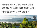 배롱나무의 끝판왕~