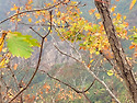 토곡산~선암산(1) 10/18