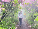 5월 몽환의 서리+축령산2