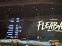 6월25일 플리백