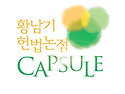 2026대비 황남기 헌법논점 Capsule