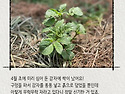 🌱 전북녹색연합 텃밭 일지 (2026년 4월 28일)