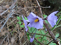 05-03-25 Mt Lukins 3