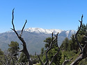 05-14-17-26 Big Bear Serran..