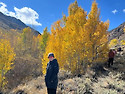 10-09-12-26 Four Jeffrey Ca..