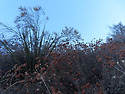 09-28-24 Colby Canyon Trail..