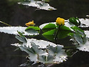 콜로라도 6