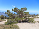 05-30-26 Mt Baldy via Baldy..