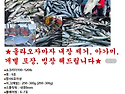 25-12-19 대성호 방어조황~!!