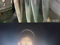 25-10-01 대성호 갈치조황~!!
