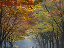 인천대공원
