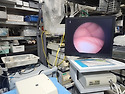 somtech Dr. Camscope (ENT 의..