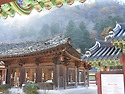 그리움