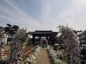 서인선님 딸 결혼식