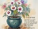 흰목단