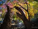 Autumn Panorama in My Heart..