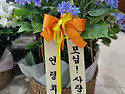 성모의 밤 행사(꽃봉헌 단체)